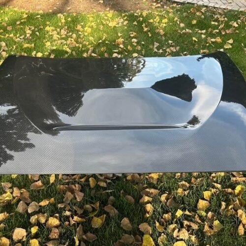 Genuine Carbon Hood for F-Series M2/M2C F